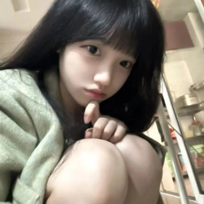 摄影师贝尔蒂与海豚零距离