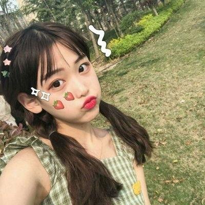 爱犬情深